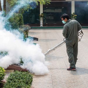 Phòng chống và kiểm soát côn trùng